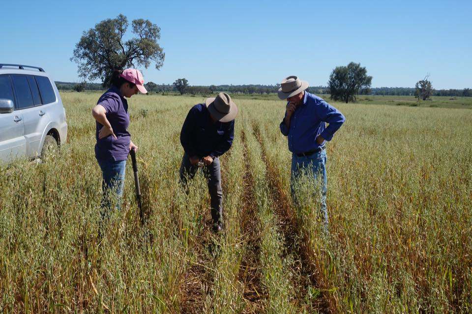 Soil Management – Best practices in action workshop