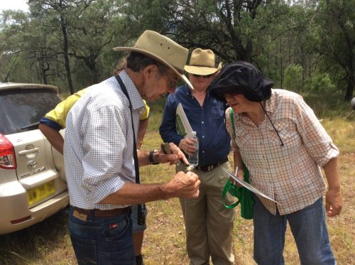 People looking at a plant